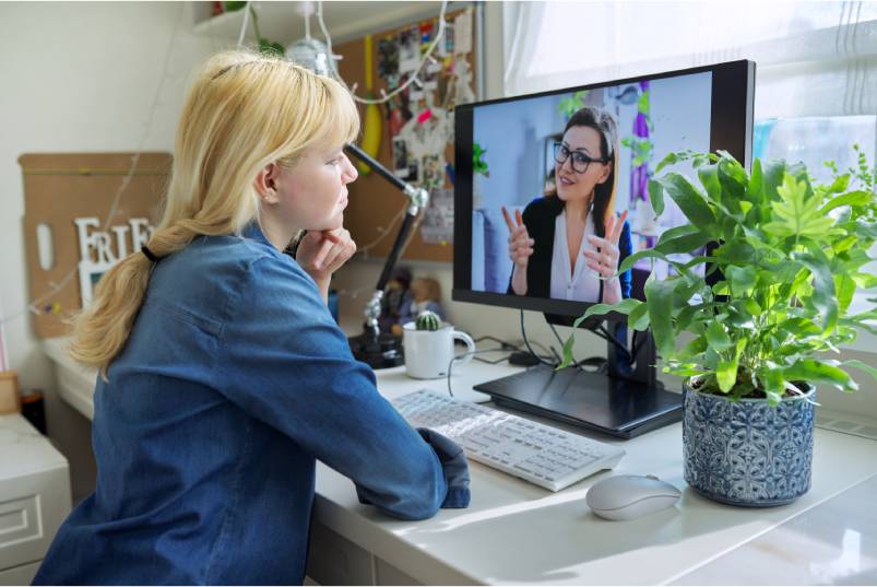 A female remote-working employee having a discussion with her manager on the desktop. There's a plant next to the monitor.